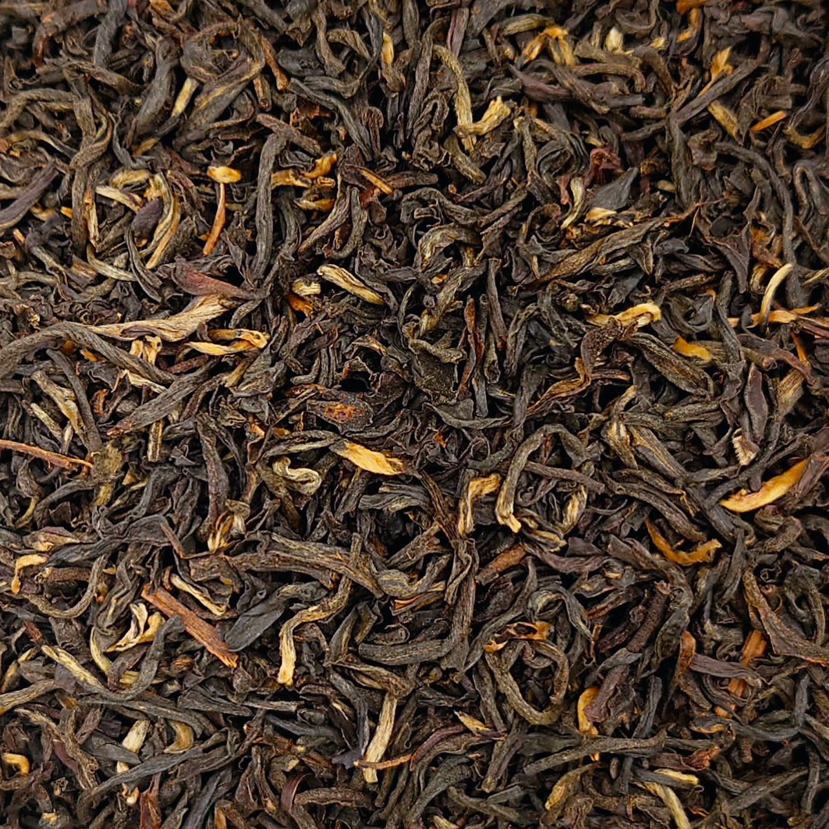 Assam supérieur G.F.O.P