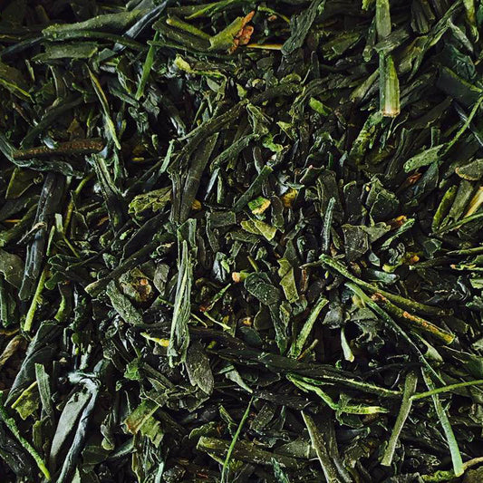 Sencha Fukuyu